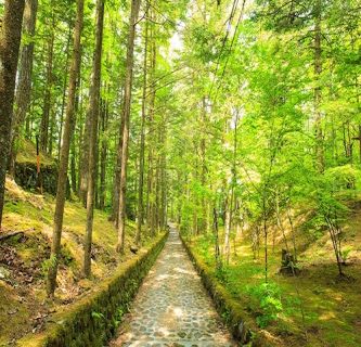 デフォルト画像